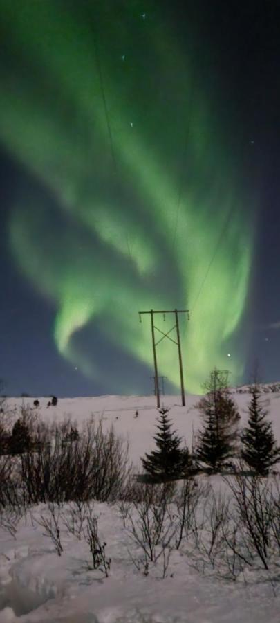 Gljufurbustathir Holiday Homes Hveragerdi Eksteriør billede