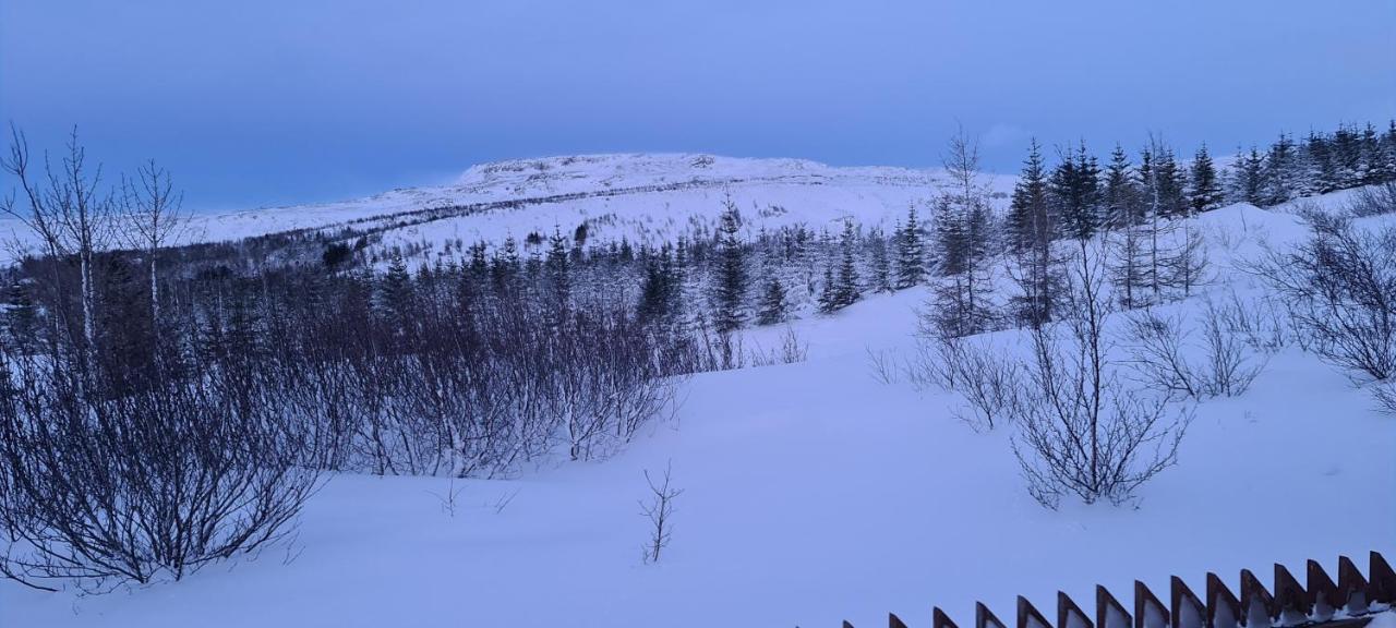 Gljufurbustathir Holiday Homes Hveragerdi Eksteriør billede